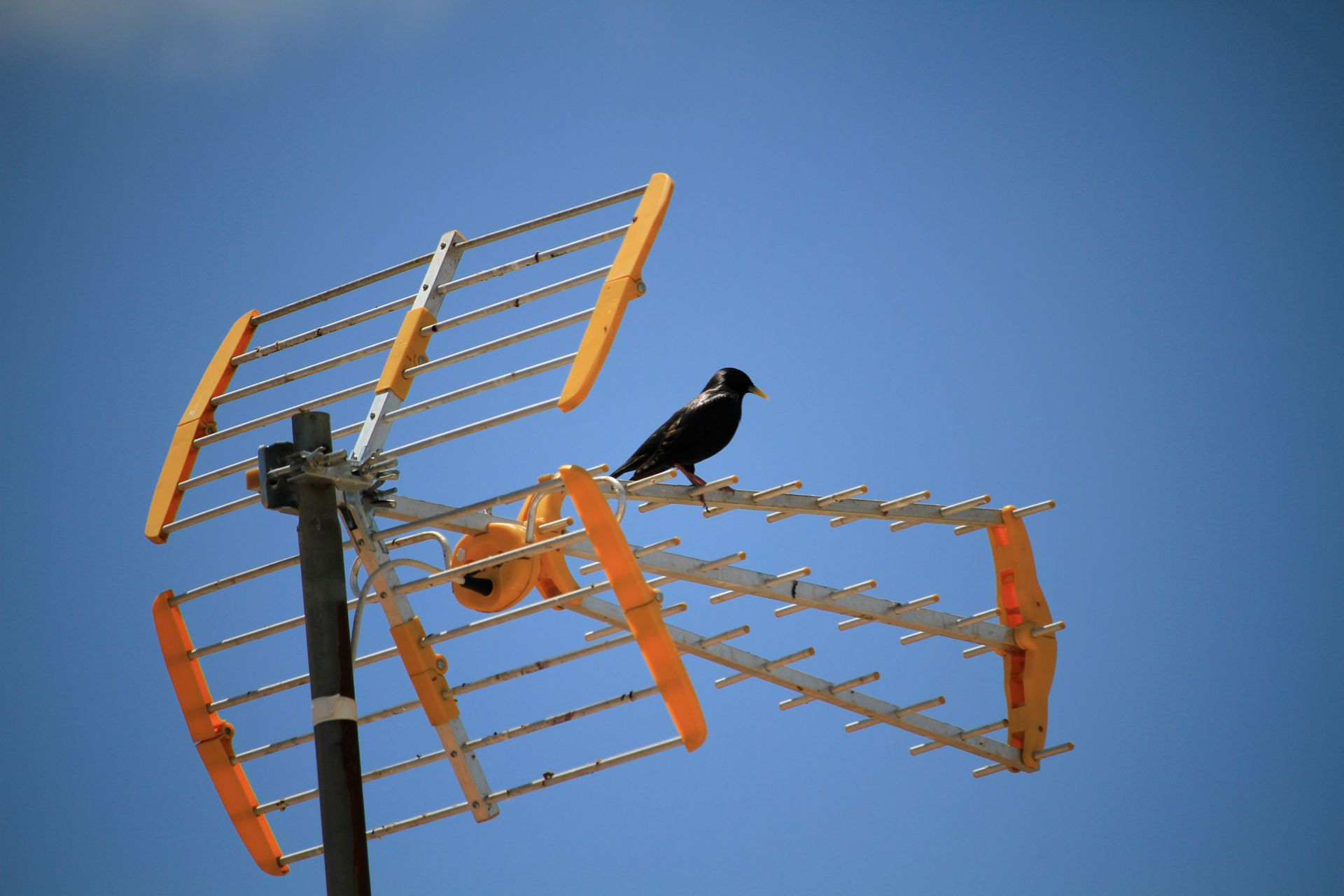 Antenne parabolique installée sur un toit